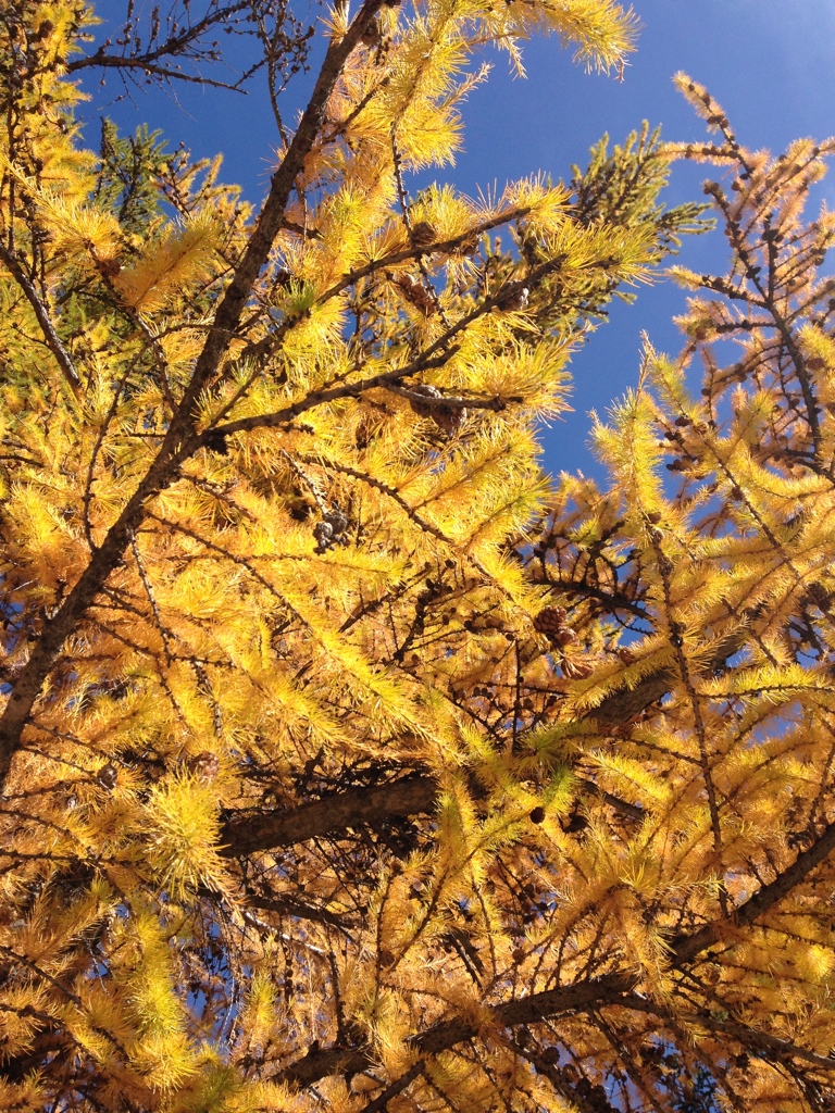 Quand partir à Serre Chevalier ? Meilleures périodes selon les saisons